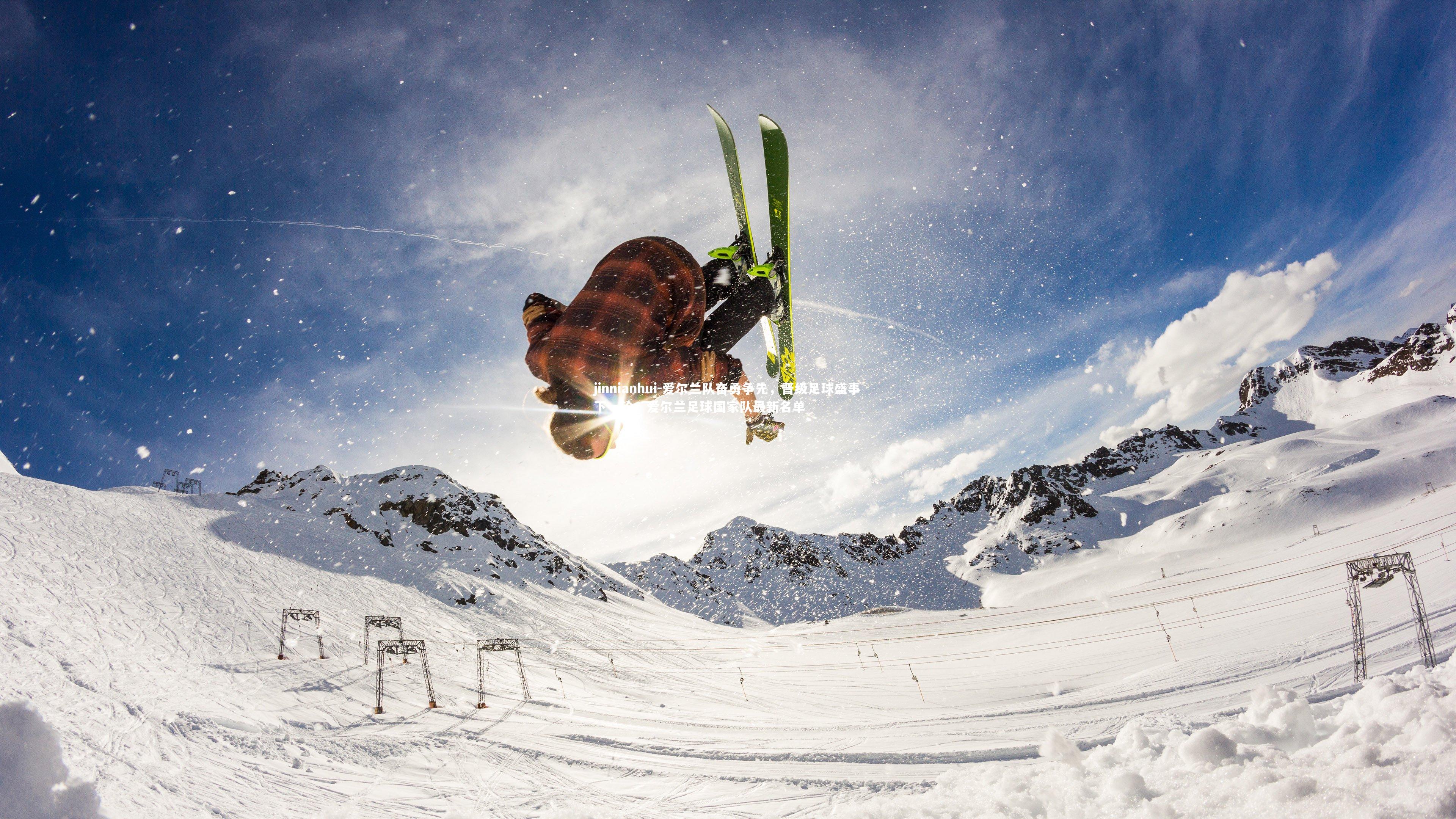 爱尔兰队奋勇争先,晋级足球盛事下一轮,爱尔兰足球国家队最新名单